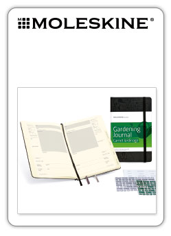 Cuaderno Moleskine 
Storyboard 
(Notebook storyboard Moleskine)